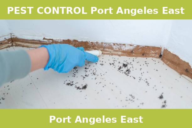 PEST CONTROL Port Angeles East